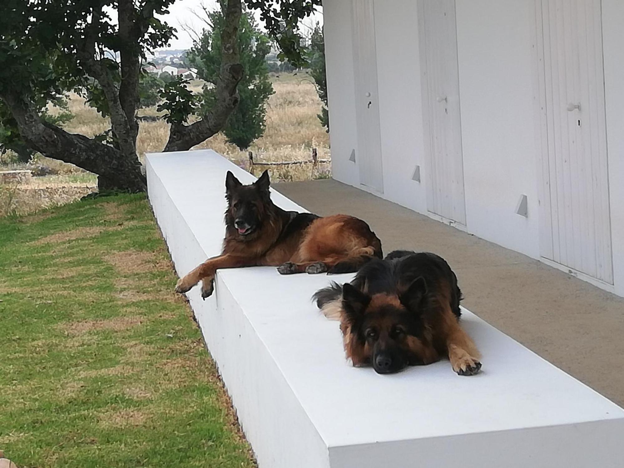 Monte Da Azarujinha Villa Azaruja Bagian luar foto