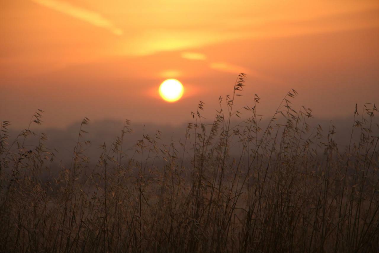 Monte Da Azarujinha Villa Azaruja Bagian luar foto